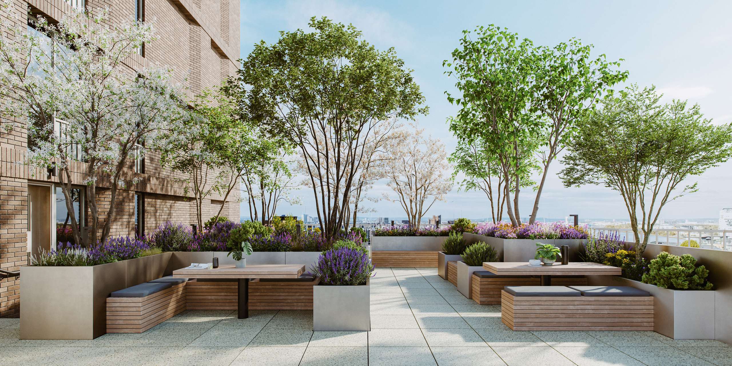 3D rendering of a planted terrace with timber benches and raised garden beds