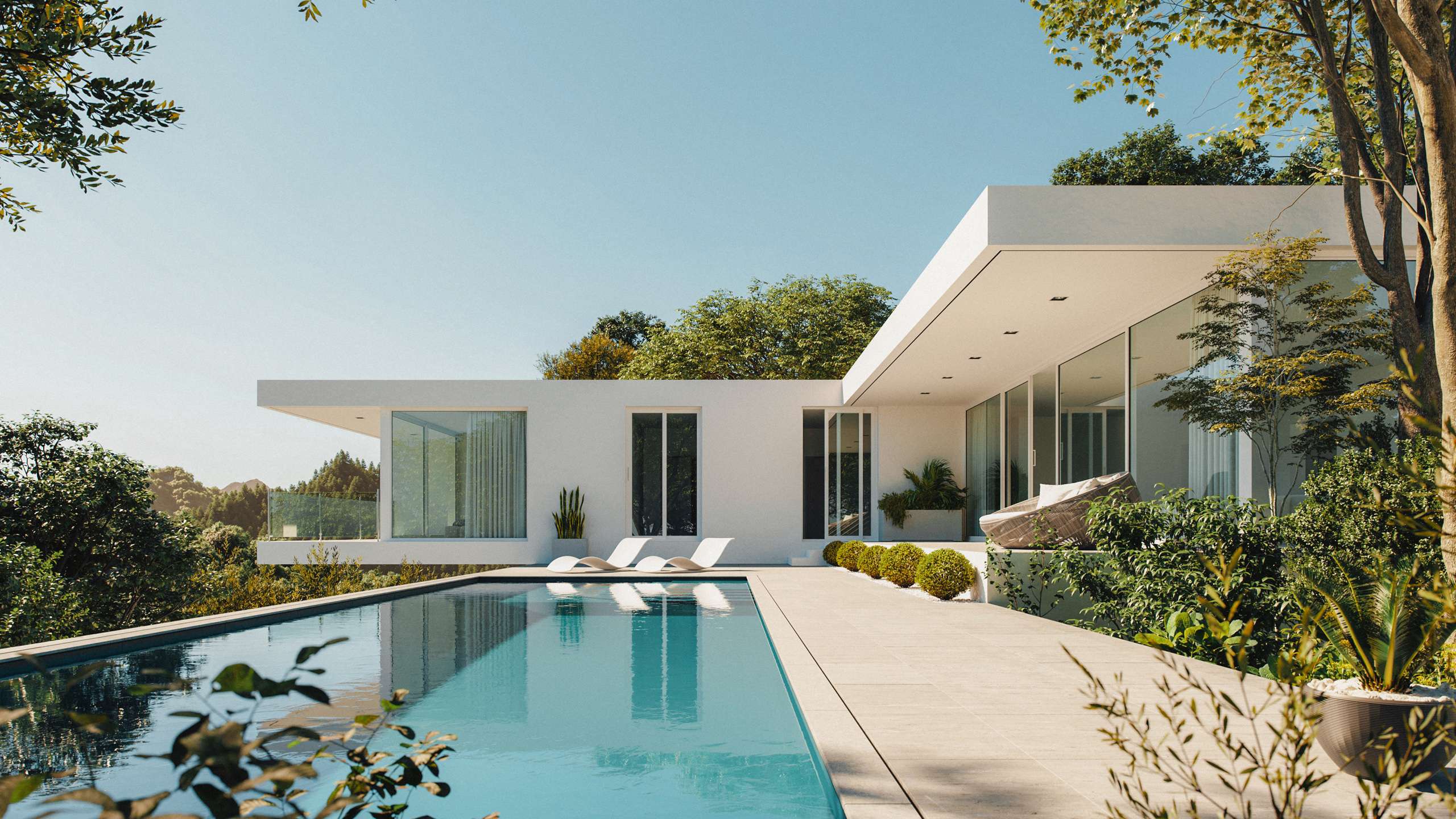 3D rendering of a white modern house beside a long outdoor swimming pool