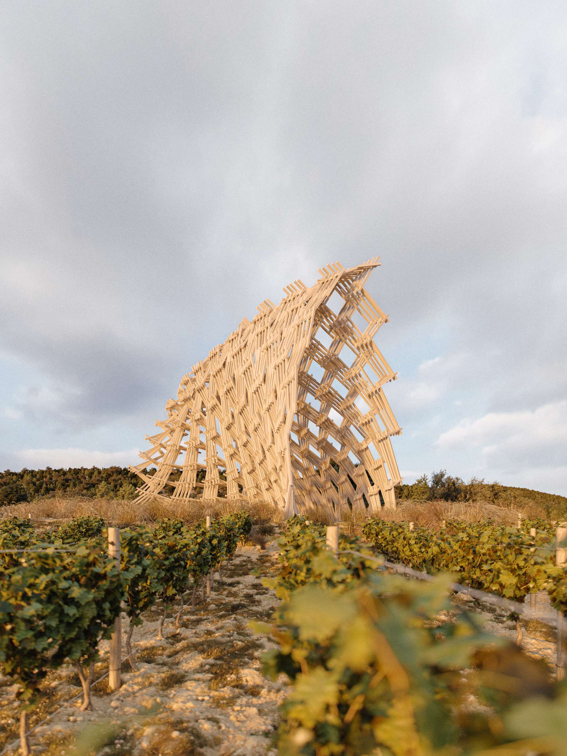 3D rendering of a sculptural lattice-timber pavilion rising above a vineyard