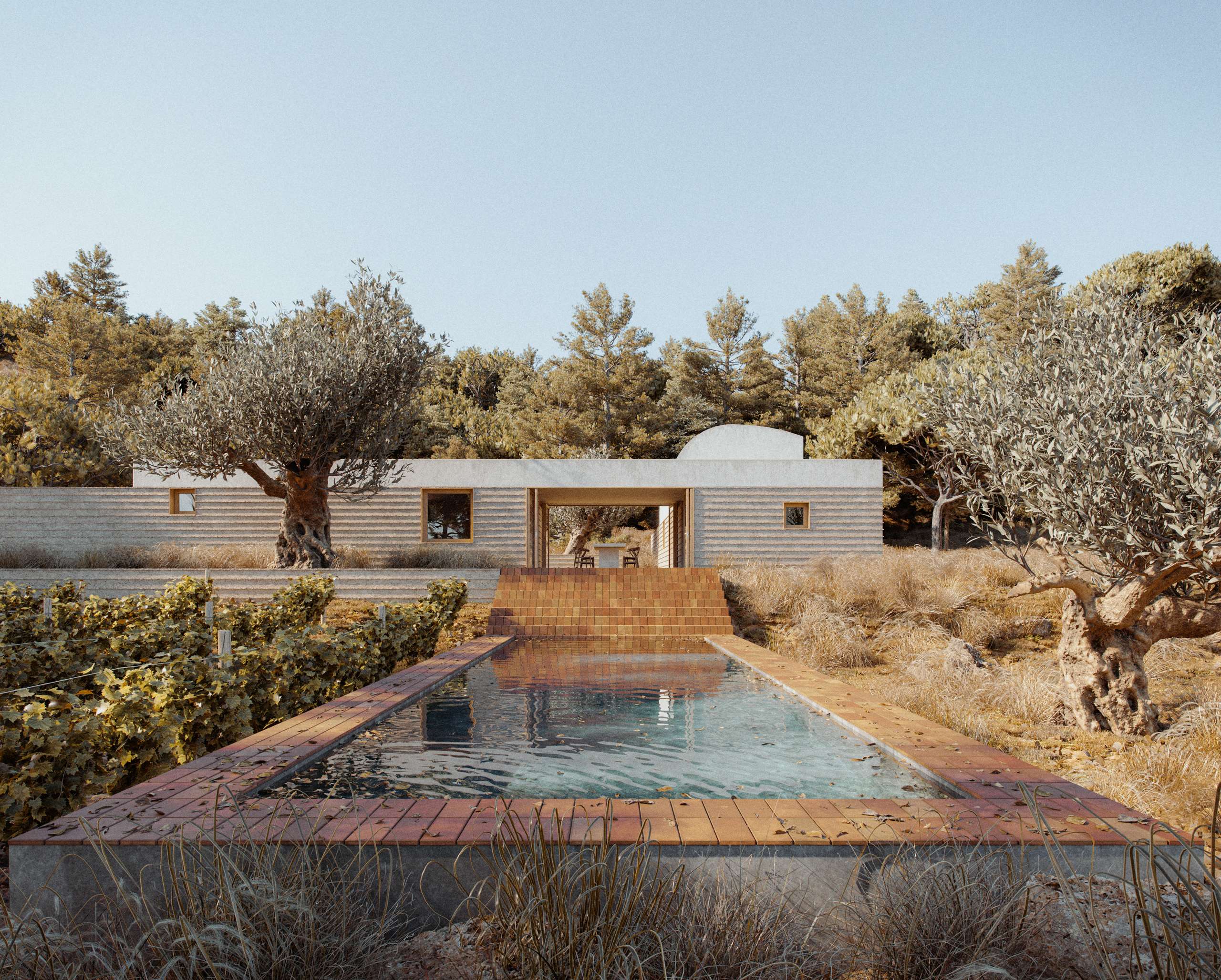 3D rendering of a low stone house and swimming pool among olive trees